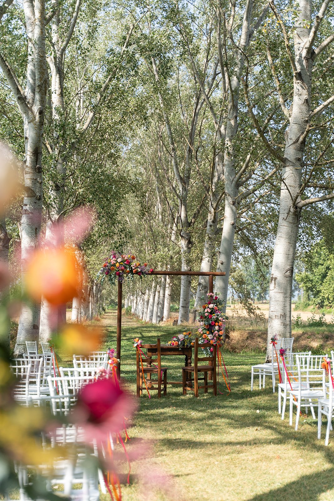 Cypress-lined path leading to the ceremony