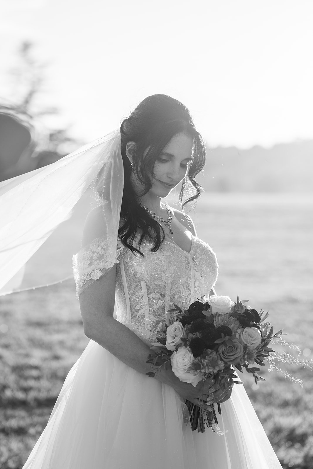 Outdoor dinner under string lights